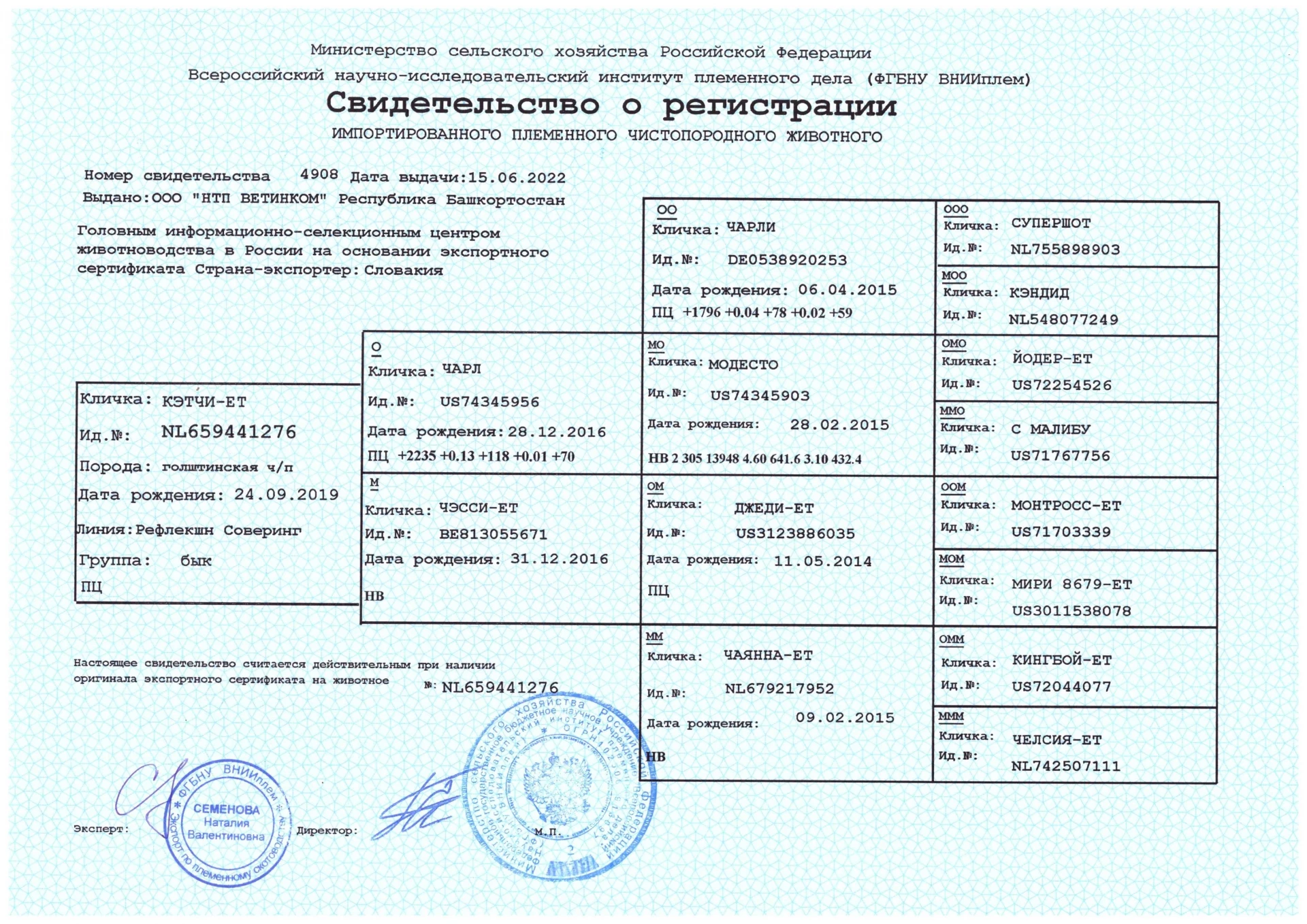 Свидетельство о регистрации быка