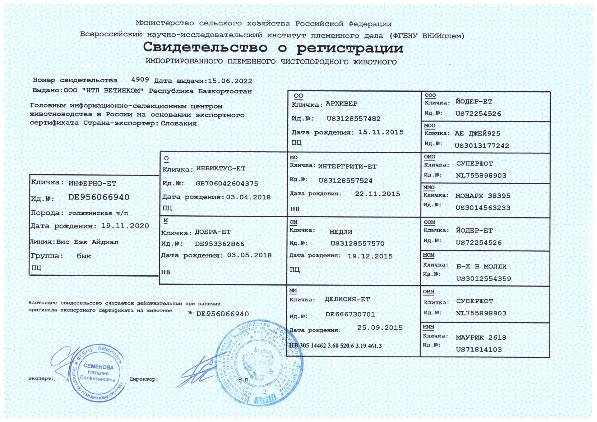 Свидетельство о регистрации быка