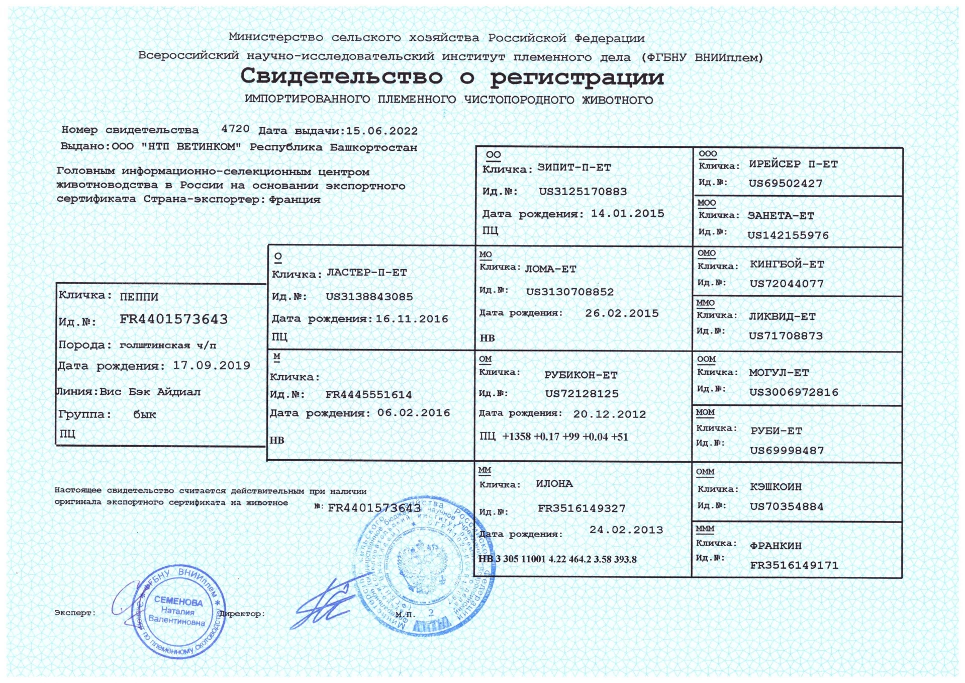 Свидетельство о регистрации быка